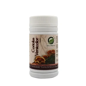 Om şi Natură - Natura dăruieşte - Produse - Coriolus Versicolor capsule